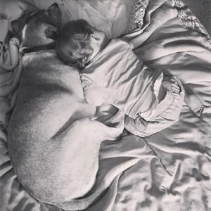 Meet your Posher, William